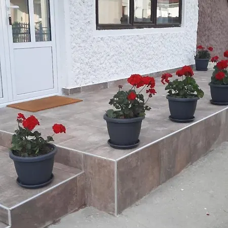 Pensión Privatni Smestaj Nanica